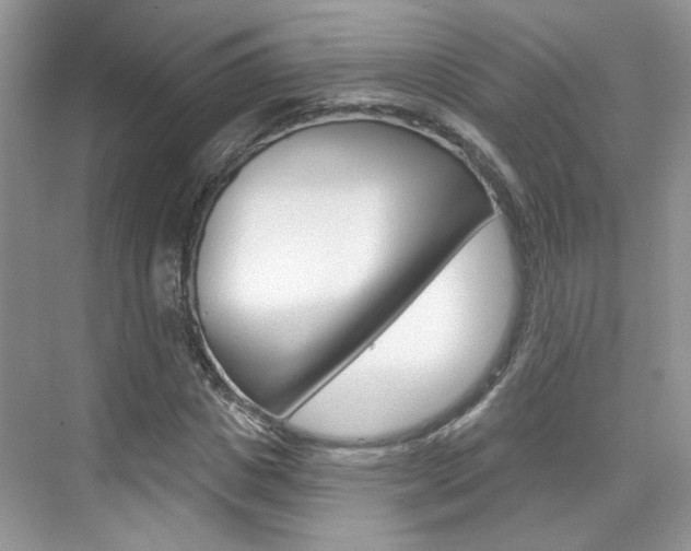 X0000076220825200609280919