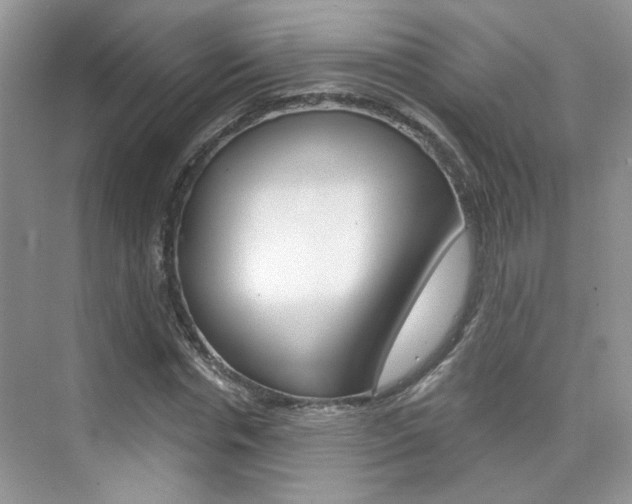 X0000076220826200609280919
