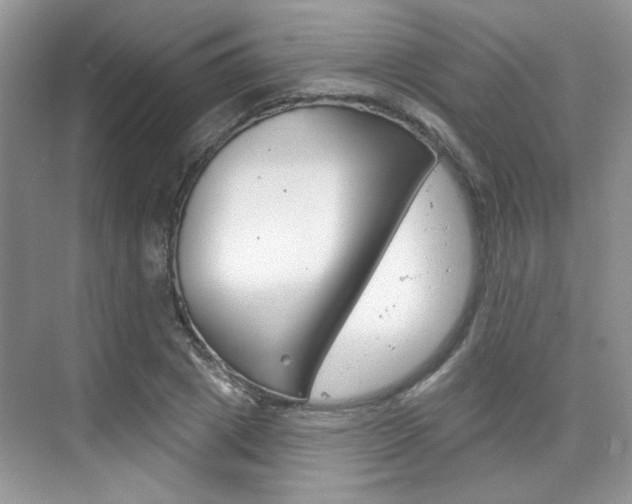 X0000076220833200609280919