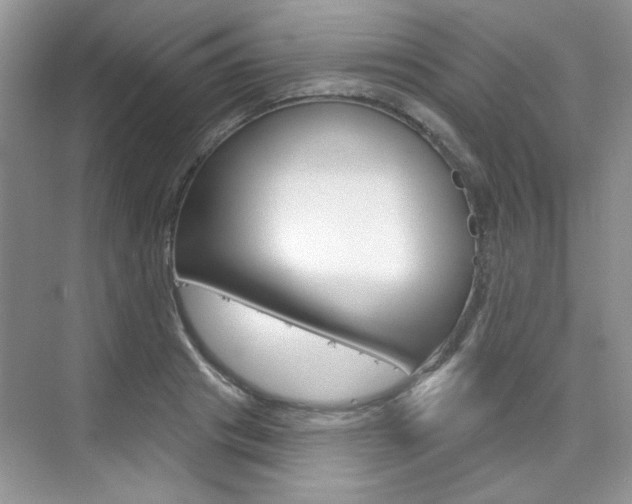 X0000076220841200609280919