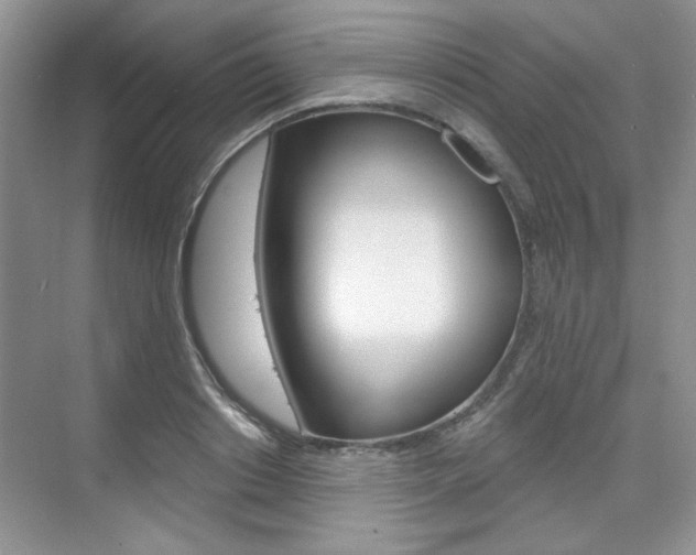 X0000076220842200609280919