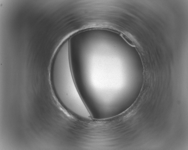 X0000076220846200609280919