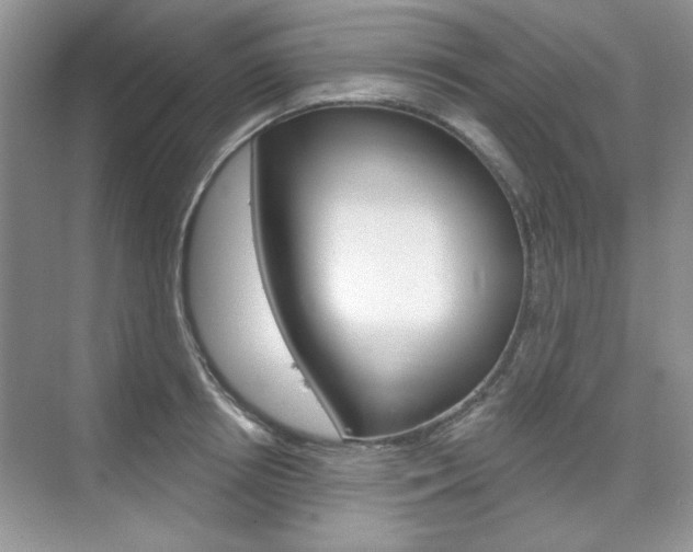X0000076220850200609280919