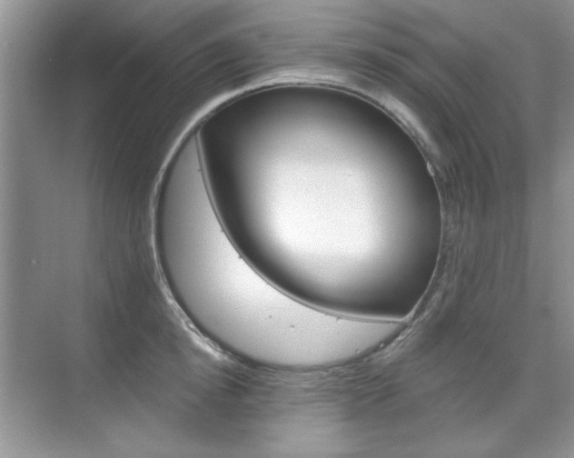 X0000076220854200609280919