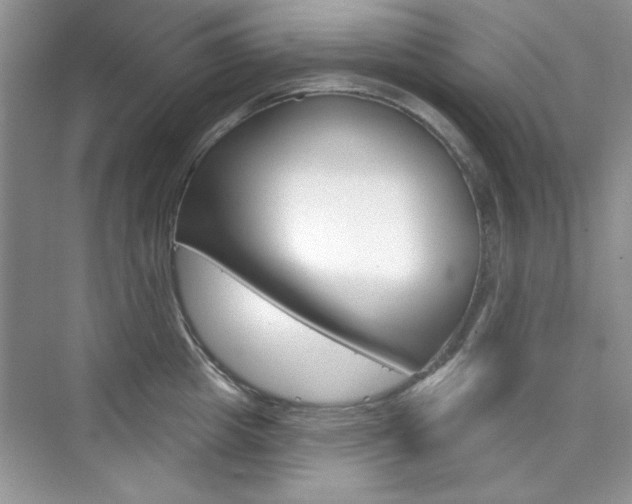 X0000076220857200609280920