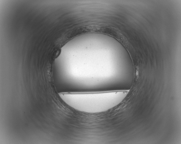 X0000076220867200609280919