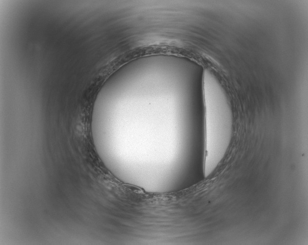 X0000076220869200609280919