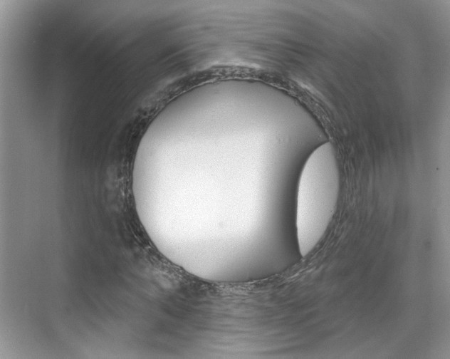 X0000076220870200609280919
