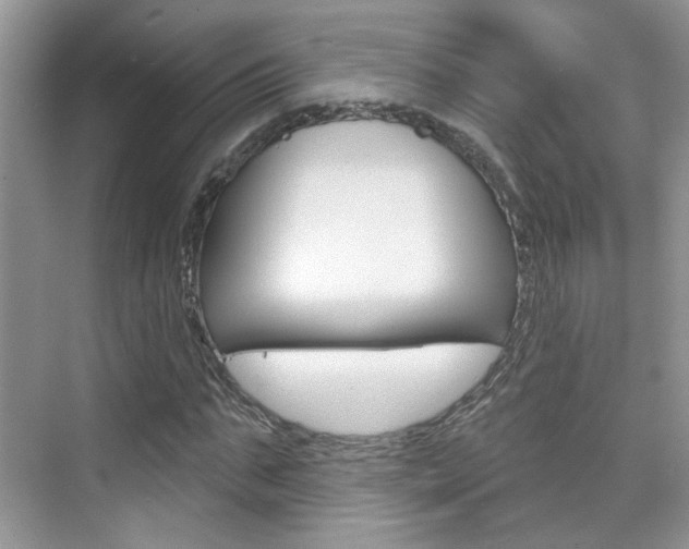 X0000076220871200609280919