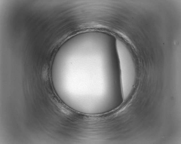 X0000076220873200609280919