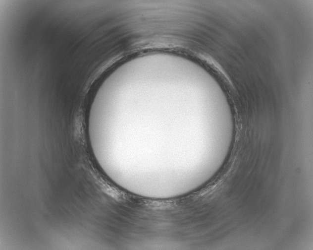 X0000076220874200609280919
