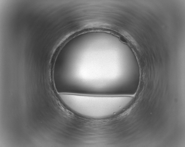 X0000076220877200609280919