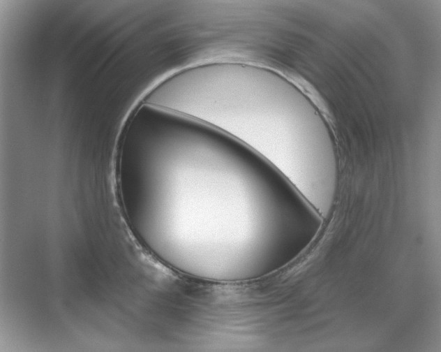 X0000076220904200609280918