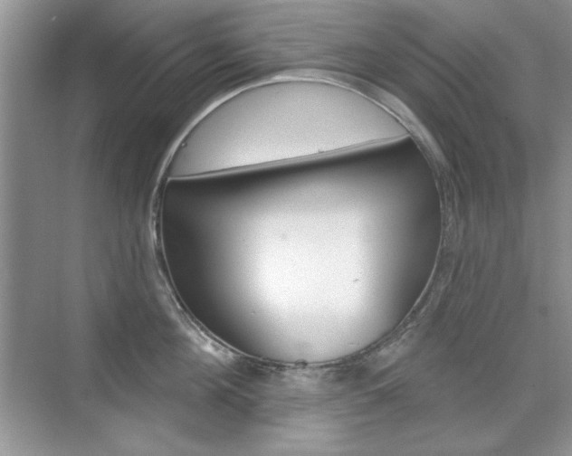 X0000076220908200609280918