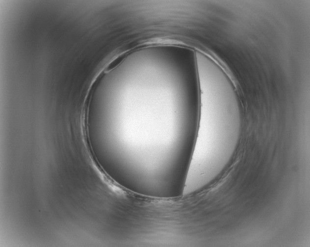 X0000076220909200609280918