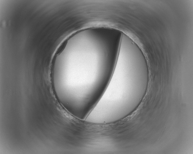X0000076220912200609280918