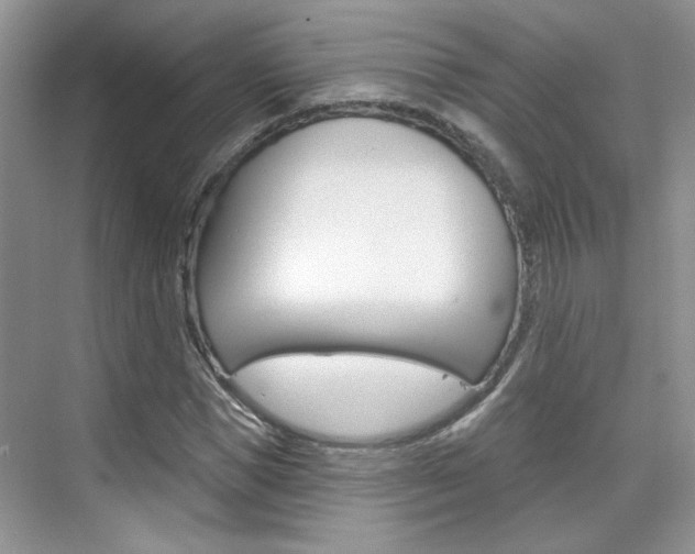 X0000076220921200609280917
