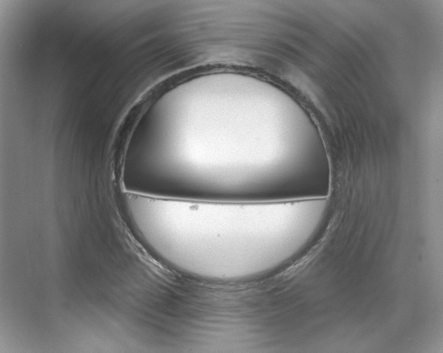 X0000076220923200609280917