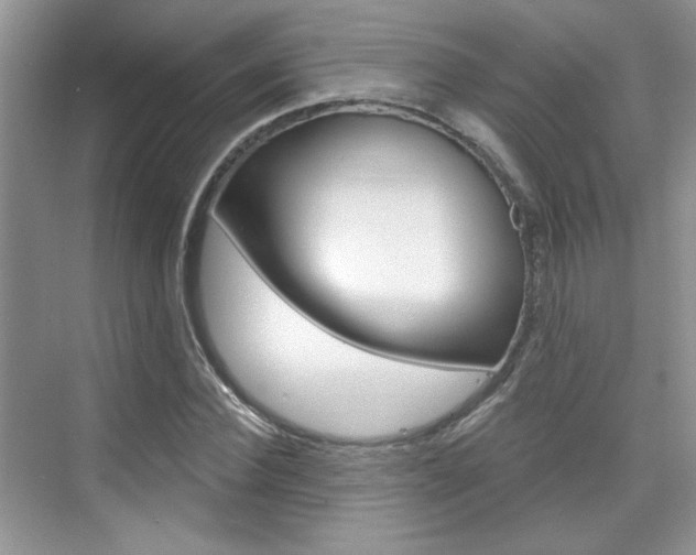 X0000076220924200609280917