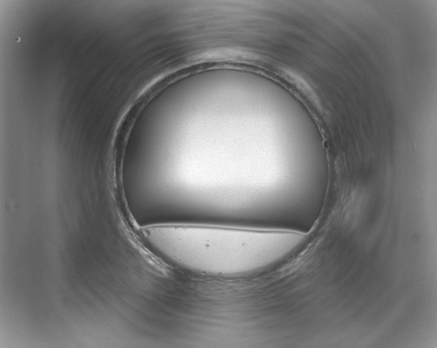 X0000076220931200609280918