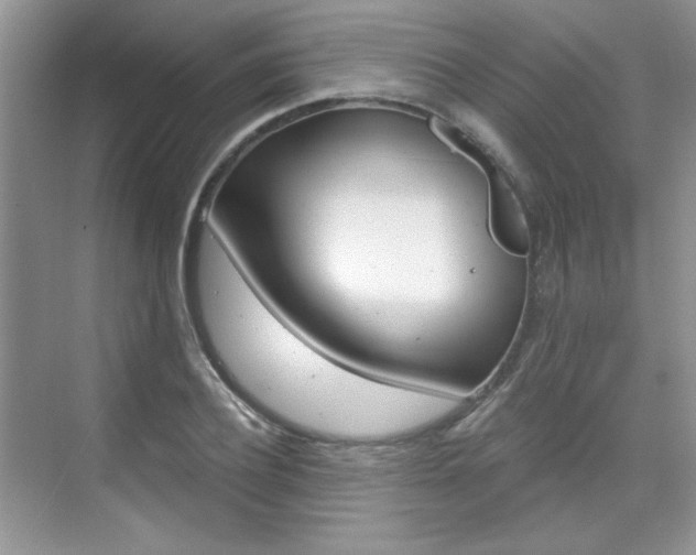 X0000076220932200609280918