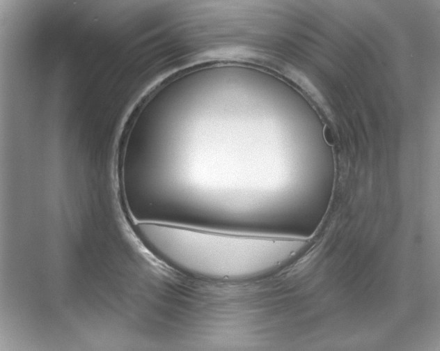 X0000076220939200609280918
