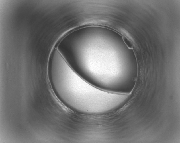 X0000076220940200609280918