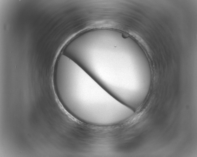 X0000076220941200609280918