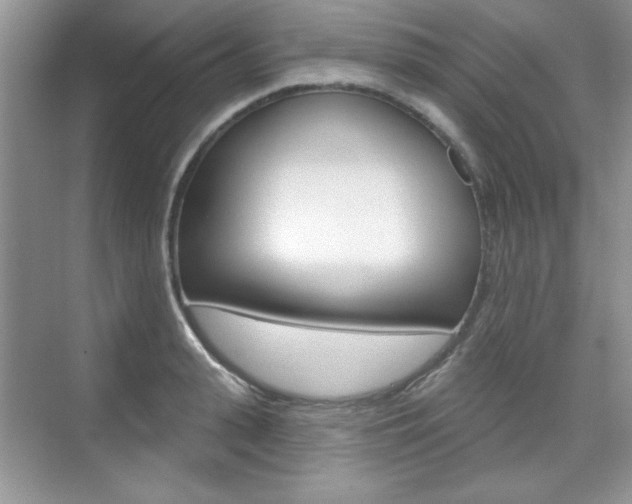 X0000076220943200609280918