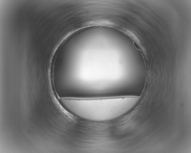 X0000076220947200609280918