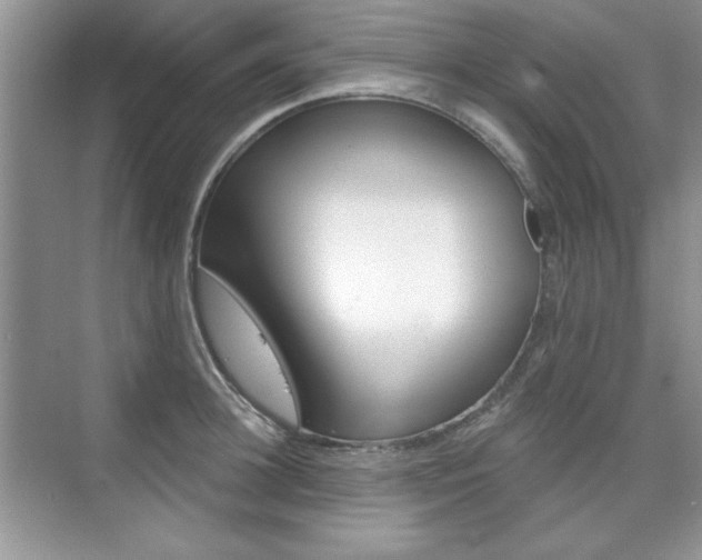 X0000076220948200609280918