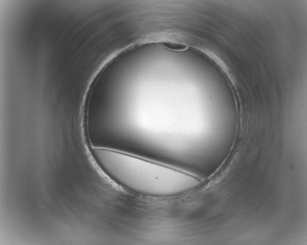 X0000076220949200609280918