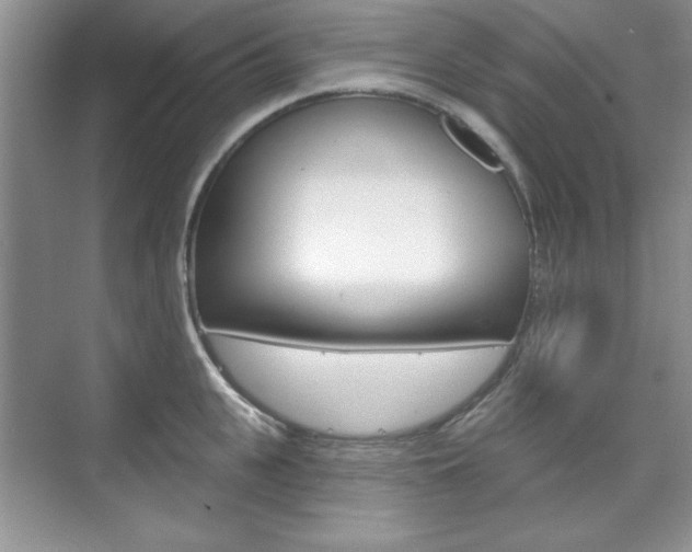 X0000076220951200609280918