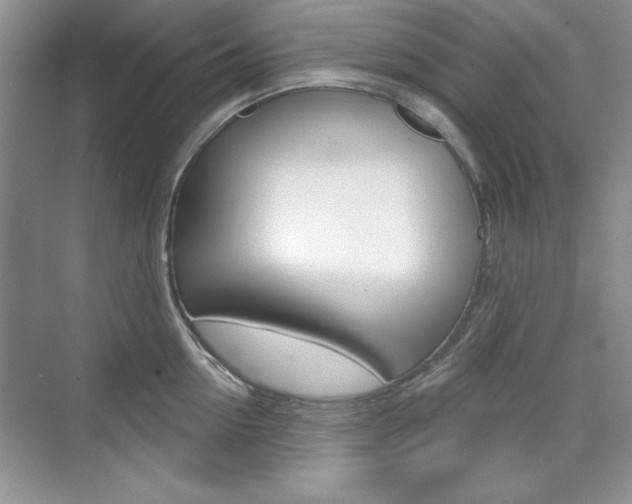 X0000076220954200609280918