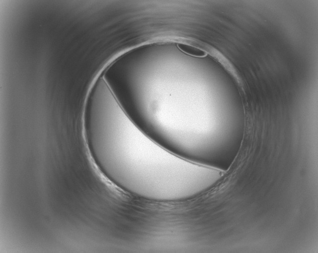 X0000076220955200609280918
