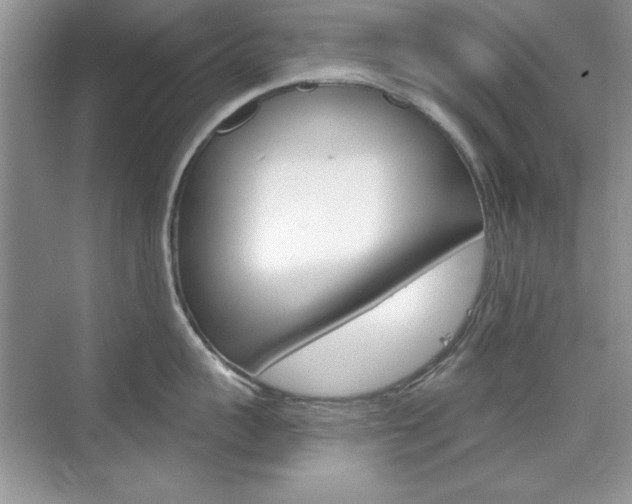 X0000076220959200609280918