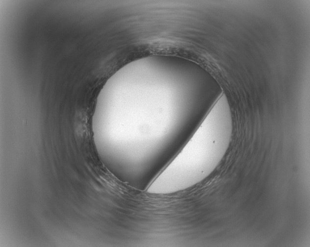 X0000076220964200609280917
