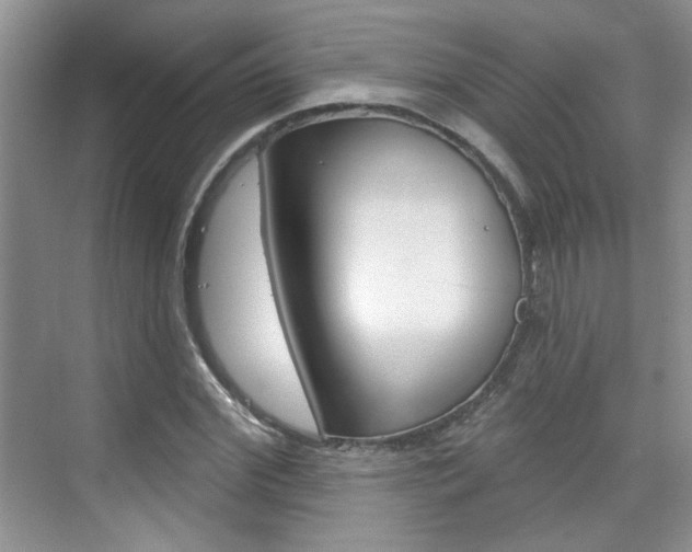 X0000076220972200609280917