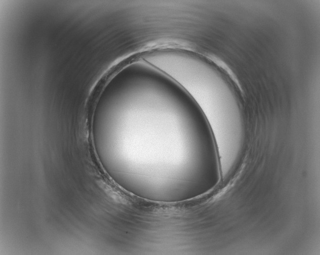 X0000076220973200609280917