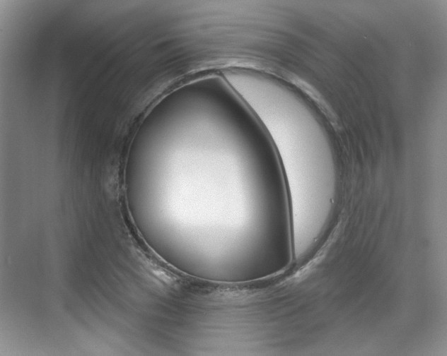 X0000076220977200609280917