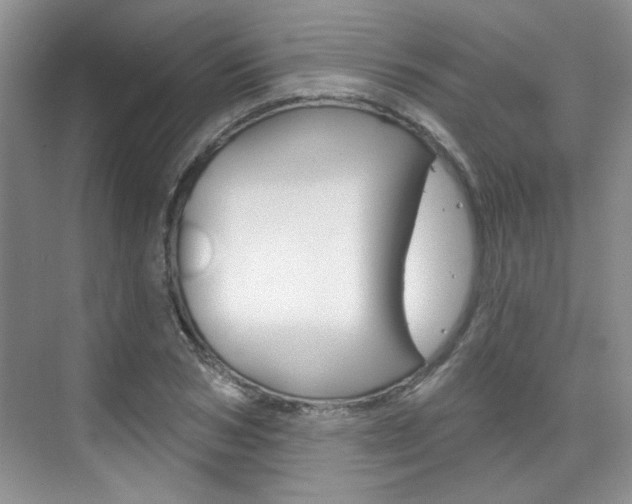 X0000076220978200609280917