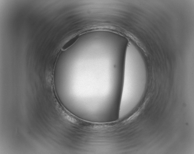 X0000076220985200609280917