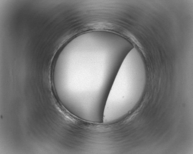 X0000076220986200609280917