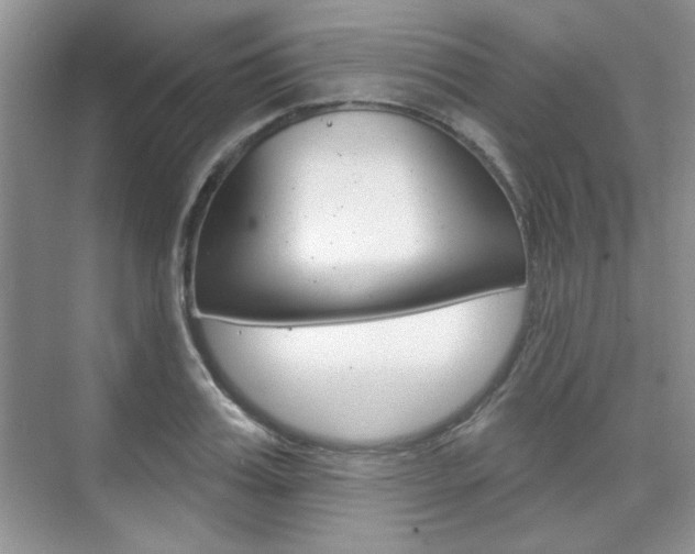 X0000076220987200609280917