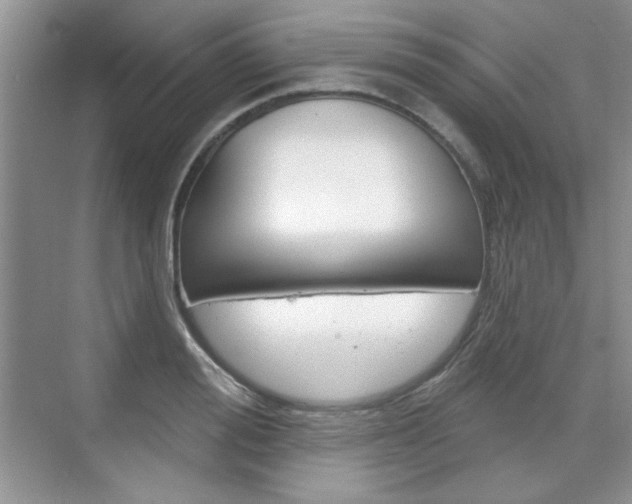 X0000076220988200609280917
