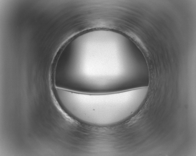 X0000076220991200609280917