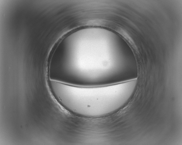 X0000076220992200609280917
