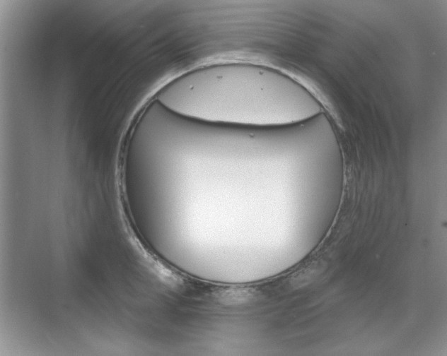 X0000076220998200609280917