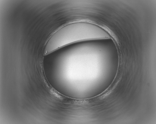 X0000076221001200609280917