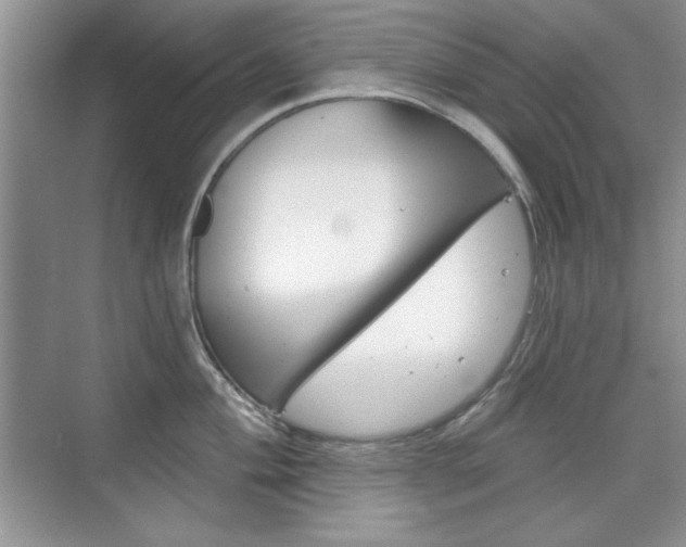 X0000076221004200609280917